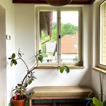 Casa de Férias Domek Zeliv Želiv