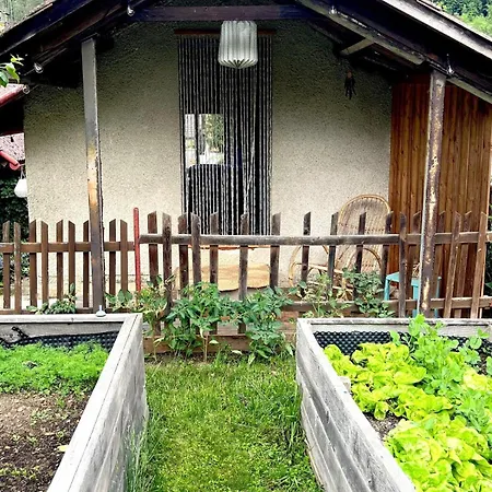 Casa de Férias Domek Zeliv